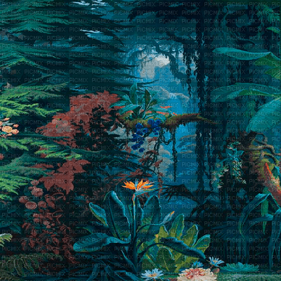 Y.A.M._Fantasy forest background - bezmaksas png