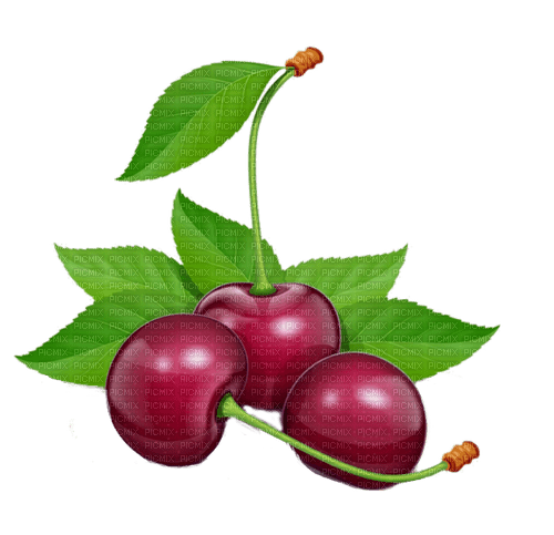 cherry by nataliplus - png gratuito