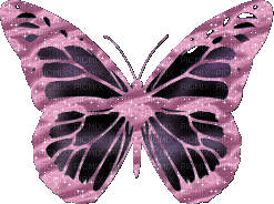 papilon - GIF animado gratis
