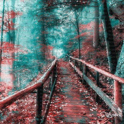 soave background animated autumn forest - Ingyenes animált GIF