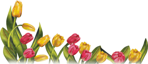 kikkapink border frame flowers summer spring - PNG gratuit