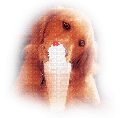 ice cream bp - PNG gratuit