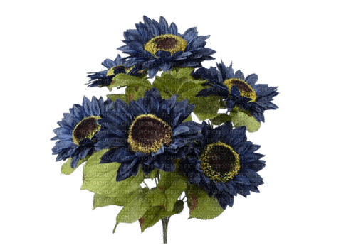 blue sunflowers sunshine3 - nemokama png