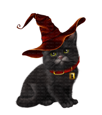 katt-cat-halloween - png gratis