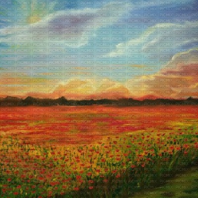 Orange Flower Field Sunset - ingyenes png
