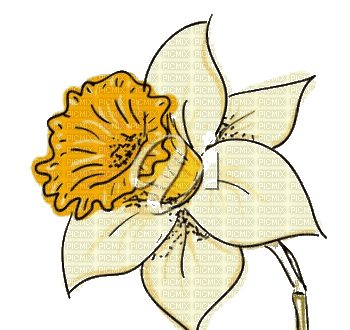 цветы - Animovaný GIF zadarmo