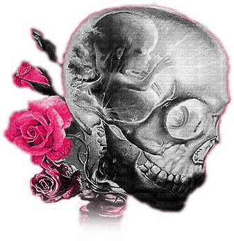 soave deco gothic skull flowers rose black - besplatni png