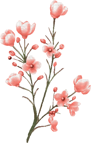 pink milla1959 - 無料のアニメーション GIF