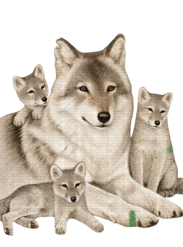 Wolves - δωρεάν png