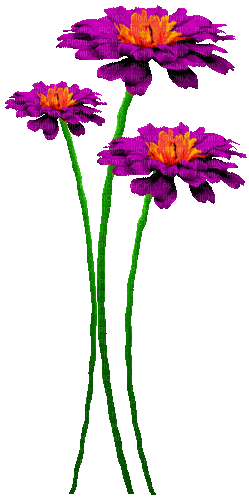 Flowers.Purple.Orange.Animated - KittyKatLuv65 - GIF animé gratuit