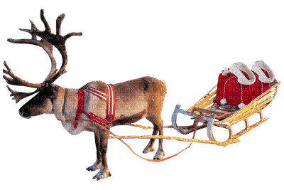 Kaz_Creations Deco Christmas Reindeer Sleigh - gratis png