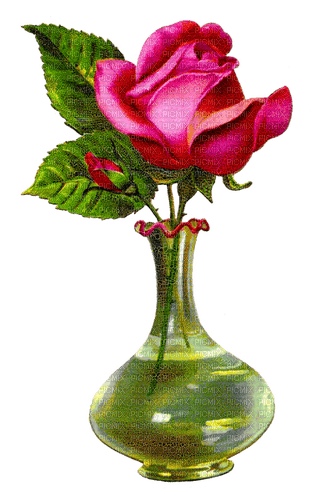 Florero  con rosa - png grátis