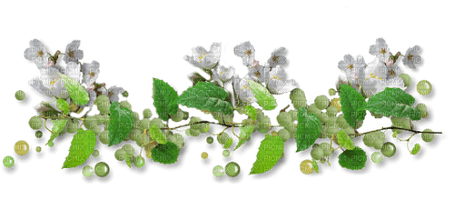 kikkapink deco border white flower - zdarma png