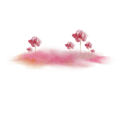 rosado - nemokama png