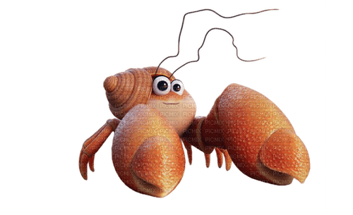 crabe - png grátis
