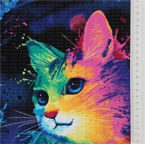 chat coloré - png ฟรี