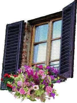Fenster - Free animated GIF