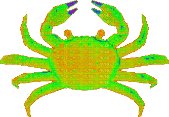 Rainbow Crab - Gratis geanimeerde GIF