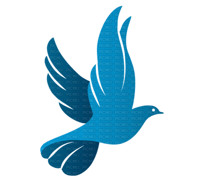 blue dove - ücretsiz png