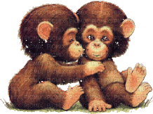 monkey bp - 免费动画 GIF
