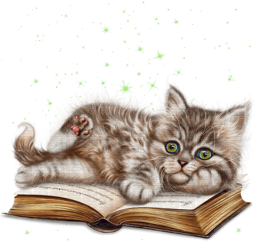 kikkapink kitty cat book - darmowe png