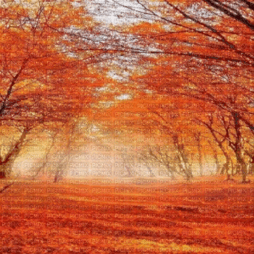 fall background - GIF animé gratuit
