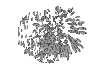fet noir black blanc White - Zdarma animovaný GIF
