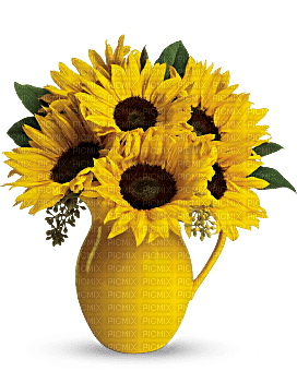 Kaz_Creations Deco Flowers Vase Colours - png ฟรี