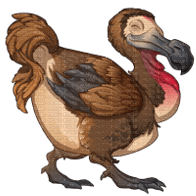 Dodo - darmowe png
