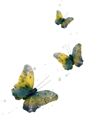 papillon - bezmaksas png
