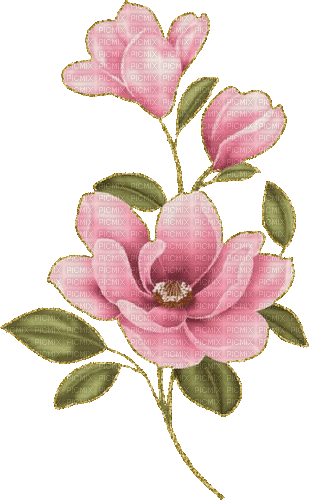 pink flowers deco - Bezmaksas animēts GIF