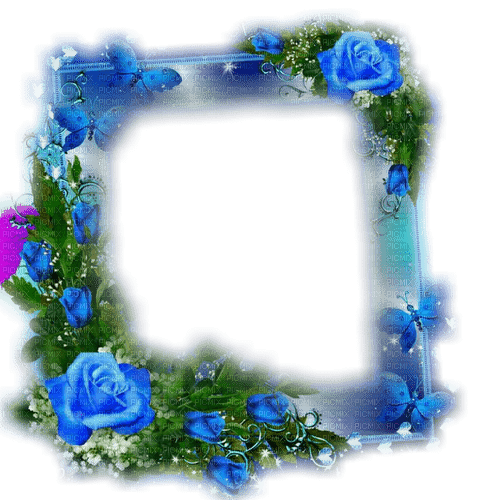 Blue roses frame - ingyenes png