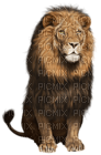 Kaz_Creations Animals Lion - zdarma png
