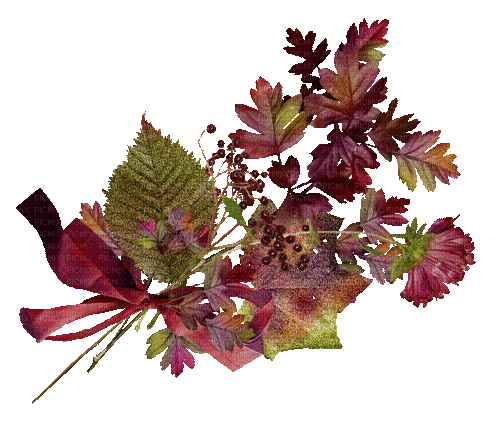 Herbststrauss - Ilmainen animoitu GIF