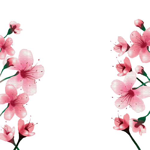 Y.A.M._Spring Flowers Decor - Animovaný GIF zadarmo