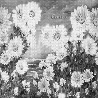 Y.A.M._summer background flowers black-white - GIF animé gratuit
