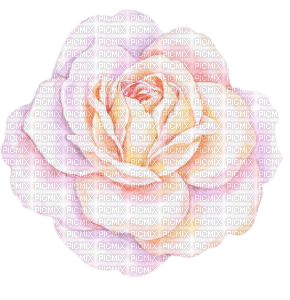 vintage suave  pink rose deco - zdarma png