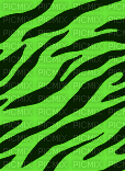 zebra stripes neon - GIF animé gratuit
