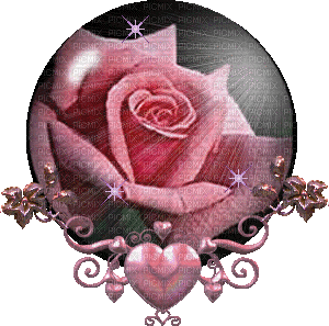rose blanche - Gratis animeret GIF
