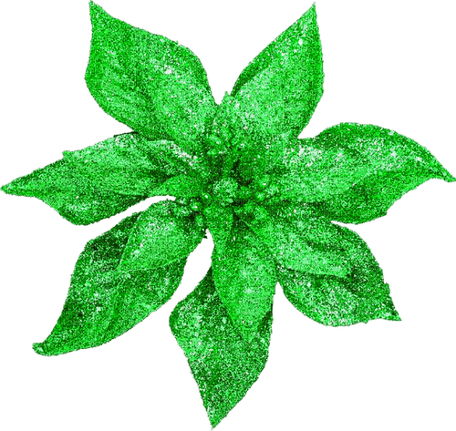 Christmas.Flower.Green - Free PNG