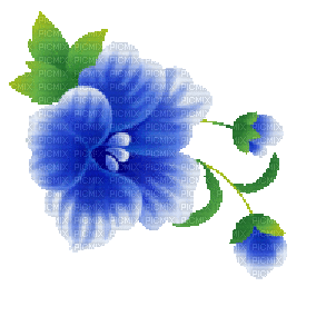 Blumen - Бесплатный анимированный гифка