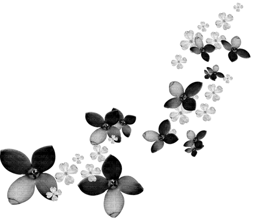 Flowers.Black.White - PNG gratuit