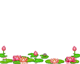 lily pond - Gratis animerad GIF