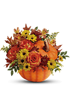 Kaz_Creations  Flowers Vase Plant Halloween Deco - png ฟรี