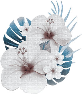 soave deco summer flowers tropical blue brown - безплатен png