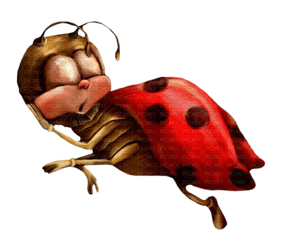 ladybug coccinelle - ingyenes png