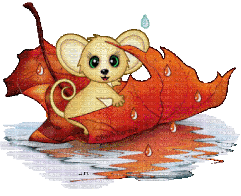 Maus, Regen, Herbst - 無料のアニメーション GIF