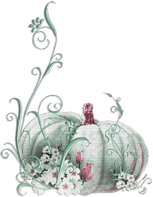 soave deco autumn thanksgiving pumpkin flowers - PNG gratuit