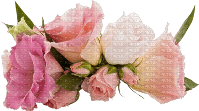 patricia87 fleur - ücretsiz png