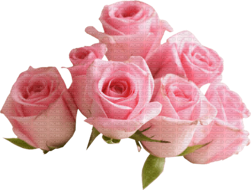 Roses in Pink - png ฟรี